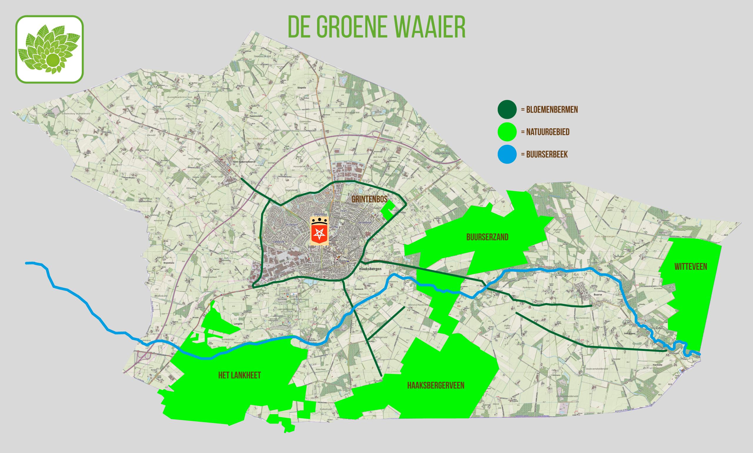 Lees meer over het artikel Bloemenbermen brengen bijen terug in Haaksbergen